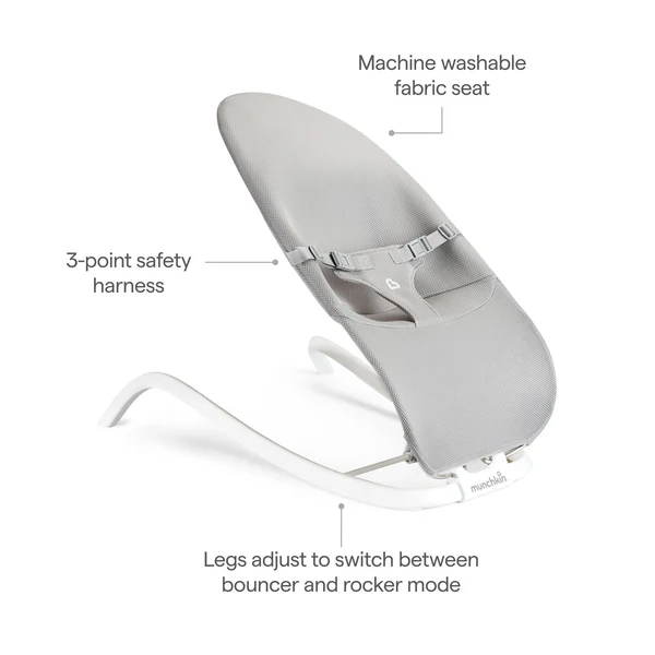 Spring 2-in-1 Bouncer & Rocker